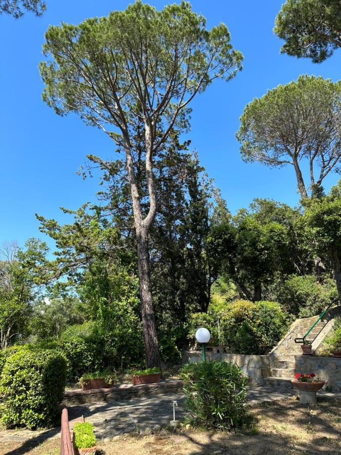 Appartamenti Portiglioni-Belvedere Puntone di Scarlino Eksteriør billede